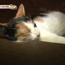 수정찜질방 이미지