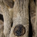 남산당한의원 이미지