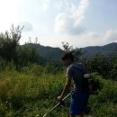 진석농장 이미지