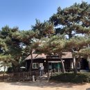 바위섬식당 이미지