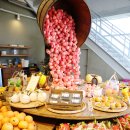 오진농장 이미지