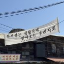 달려라호랑이 이미지