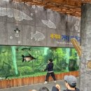 중부대로 798번길 이미지