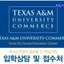 토플 면제 미국 주립대, 2024 텍사스 A&amp;M 정시 모집 안내