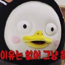 찬스짐 이미지