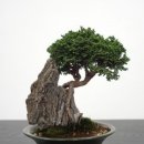 늘초록농업회사법인(주) 스트리트 h