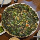 수수꽃다리 | 울산 달동 수수꽃다리