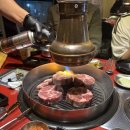 도토리그릴1492