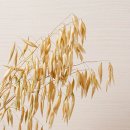 강진상회 - 제주시 오일장서길 26 | 강진상회