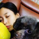 설현닷컴