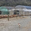 알이랑농장 이미지