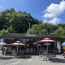 꼬꼬와아이들 이미지