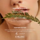 수라움에스떼