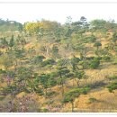 대영농원 이미지