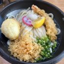 쫄깃한 면발, 우동 맛집 카마타케제면소 성대역사점