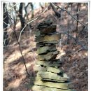 01-29 동구 이미지