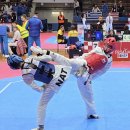 고성태권도 이미지