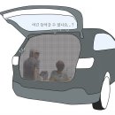 자동차에 달라붙는 벌레들, 퇴치법 꿀팁 Best 3 이미지