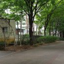 상인초등학교+사랑샘유치원 이미지