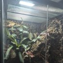 호텔네이처 부산신항점 | 부산비바리움카페 어반네이처 : 아이랑 가볼만한 부산 카페 및 부산장소대관 벡스코 근처 핫플