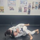 약수주짓수체육관 네이버블로그