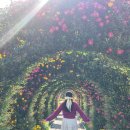 대봉약수터 | 영암 월출산 국화축제 기찬랜드 기본정보 주차장 스탬프 투어 꿀팁