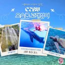 오슬롭 | 세부 여행 일정 후기 오슬롭 고래상어 투어 패스트트랙