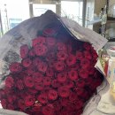 온스플라워 | 창원 프로포즈 꽃집 트렁크프로포즈 100송이 장미 감동 후기 (온스플라워)💍🌹