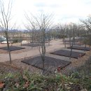 갯골캠핑장 이미지