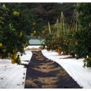 이형재농장 이미지