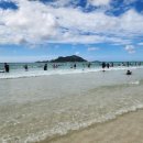 차오름태권도 이미지