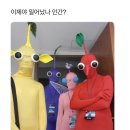 [2025] 주간일기 _5월 4주차
