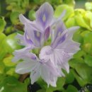 별이사는집 이미지