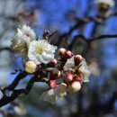 국토행정사사무소 이미지