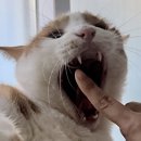 오현로20길 | 📓11월 기록 1. 너무 많은 일이 있었다. 근데 뭘 한거지?