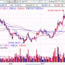 장안로309번길 | SKC 011790
