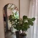 핏어팟(pit A pat) 이미지