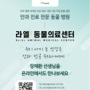 라엘동물의료센터 이미지