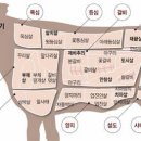 돼지.양