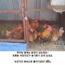 낙원가든 이미지