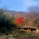 트라우마 이미지