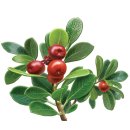 (주)헬스허브 이미지