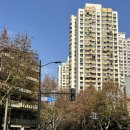 제일공안약국 | [상하이] Chapter3. 내 퍼스널컬러는 내 짝꿍