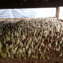 백학농장 이미지