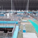 반월태양광발전소 이미지