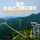 카매니아정비 | 원주 소금산 그랜드밸리 케이블카 타고 출렁다리 걷는 가을단풍명소