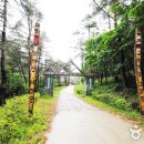 검마산자연휴양림 이미지