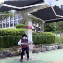 그늘막66 이미지