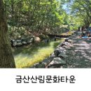 금산산림문화타운캠핑장 | 대전근교 깨끗한 계곡 금산산림문화타운(남이자연휴양림)평상 자리추천 후기