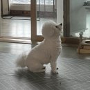 성원운수 | 성원에 힘입어 부산일기